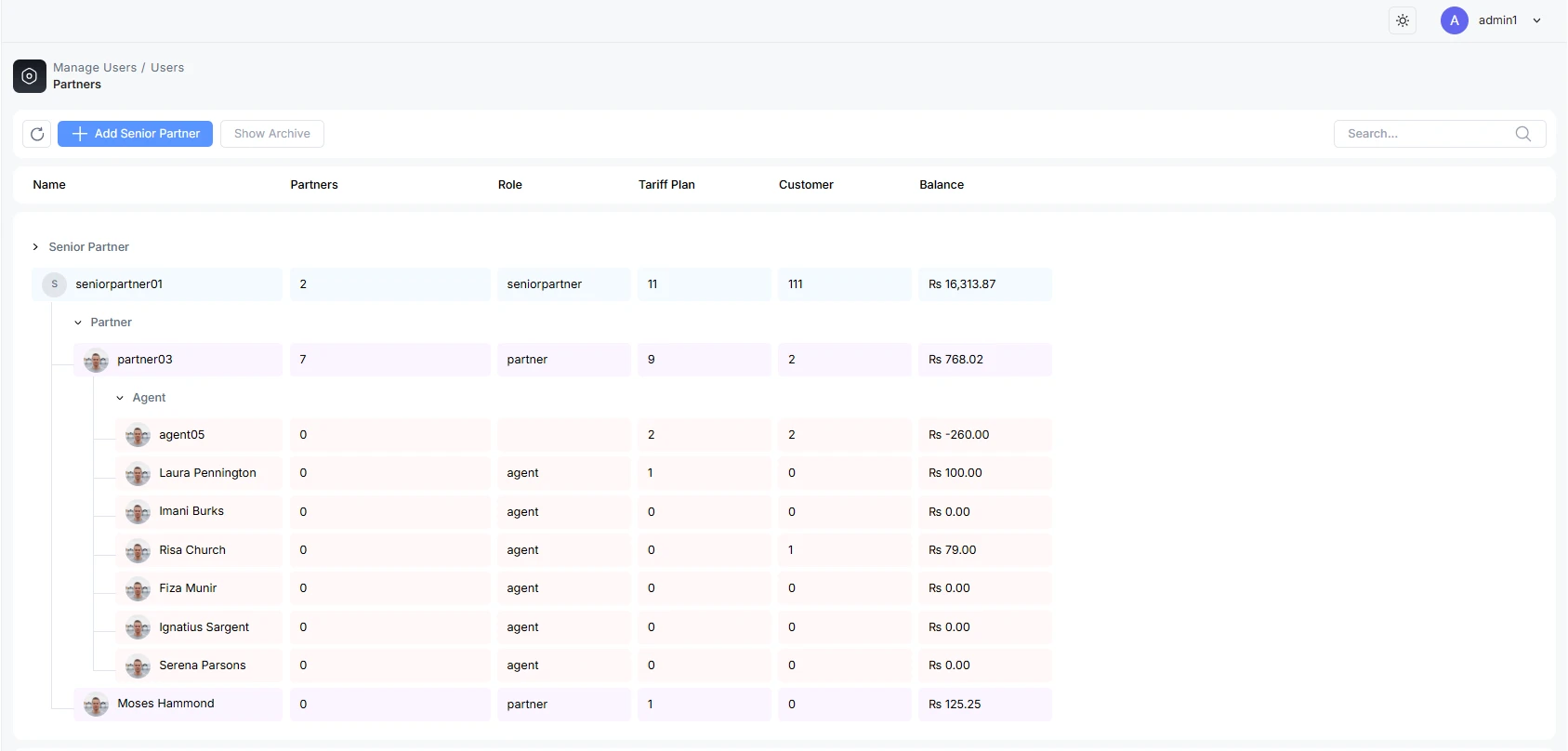 Partner hierarchy with Senior Partners, Partners, and Agents